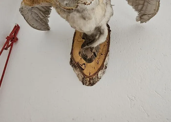 公寓 La Gerla - Maison De Charme Valle D'aosta - Vista Monte Bianco *